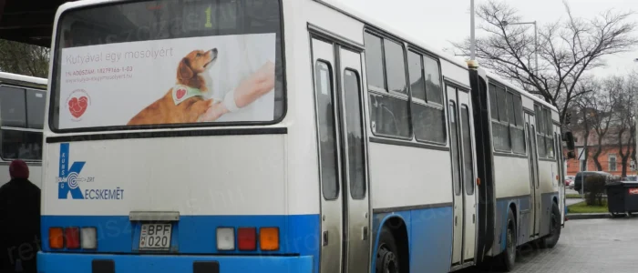 Ikarus 280 városi csuklós autóbusz bérlése nosztalgia utazáshoz - 4 ajtós retró autóbusz filmforgatásra és rendezvényekre