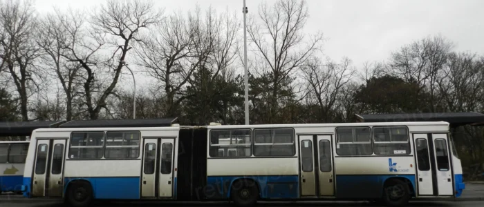 Ikarus 280 városi csuklós autóbusz bérlése nosztalgia utazáshoz - 4 ajtós retró autóbusz filmforgatásra és rendezvényekre