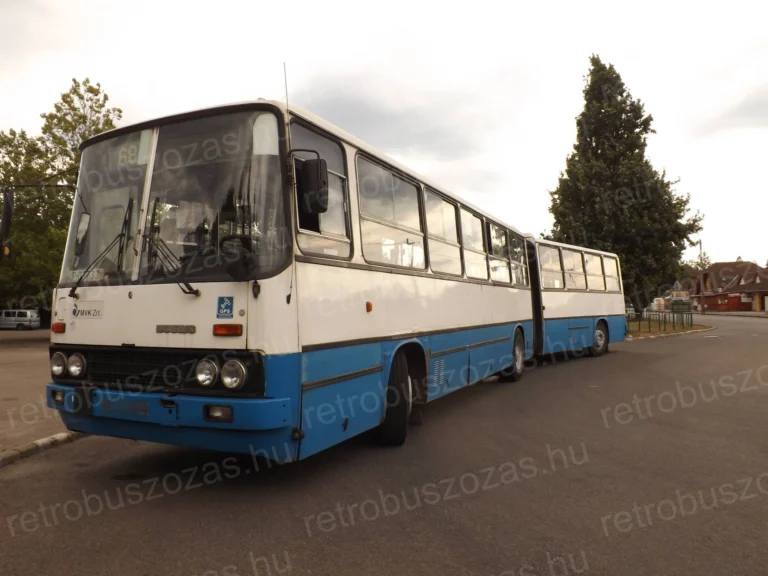 Ikarus 280 csuklós városi busz – bérelhető retró nosztalgia autóbusz