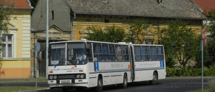 Ikarus 280 helyközi csuklós busz bérlése nosztalgia utazáshoz és rendezvényekre - fehér retró autóbusz