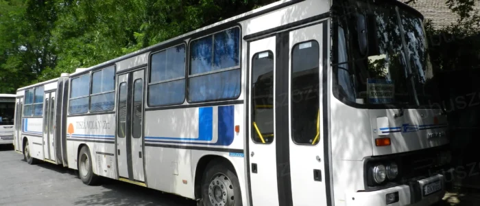 Ikarus 280 helyközi csuklós busz bérlése nosztalgia utazáshoz és rendezvényekre - fehér retró autóbusz